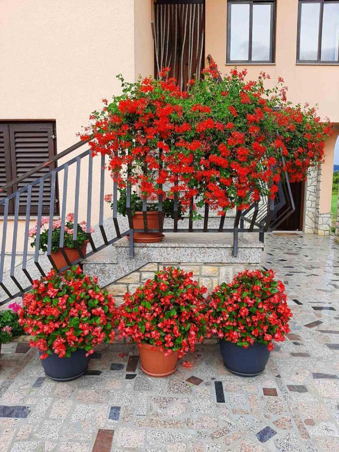 Apartman Martina Appartamento Kršan Esterno foto